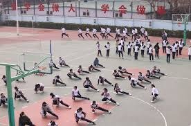 2025 赛季：MLB 全季场均观众人数增长 8.5%，创下 21 世纪以来单季最高增幅